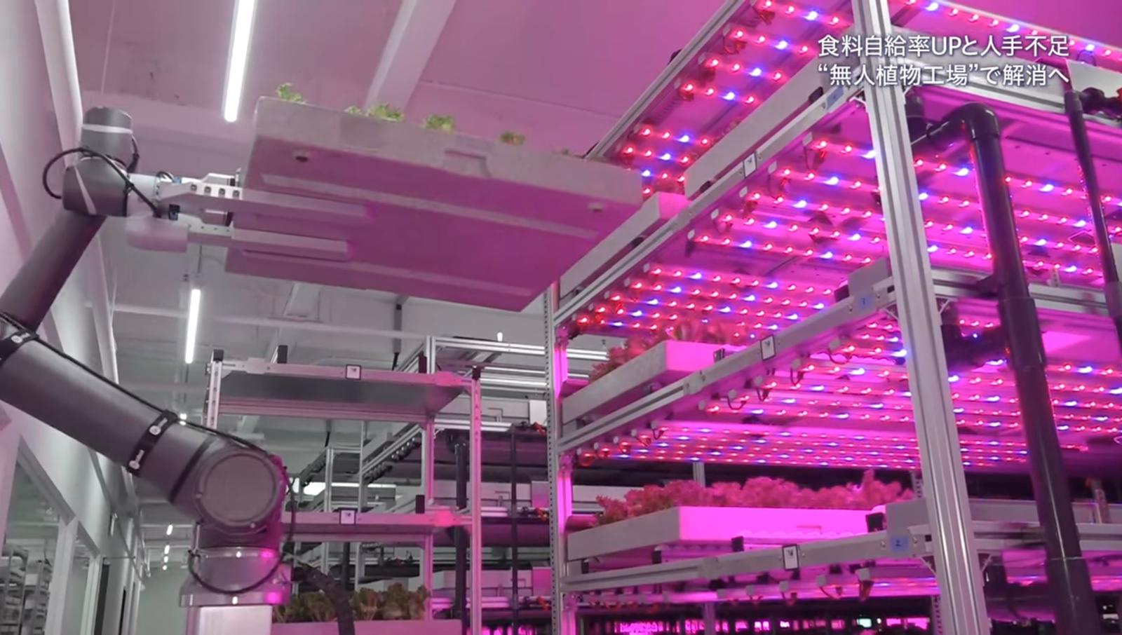 First Fully Renewable Energy Plant Factory - GKE First Fully Renewable Energy Plant Factory - GKE