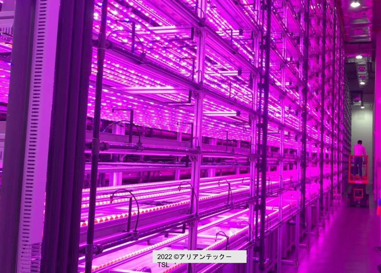 Singapore’s highest vertical indoor farm incorporating the latest farming technology - GO FARM Singapore’s highest vertical indoor farm incorporating the latest farming technology - GO FARM