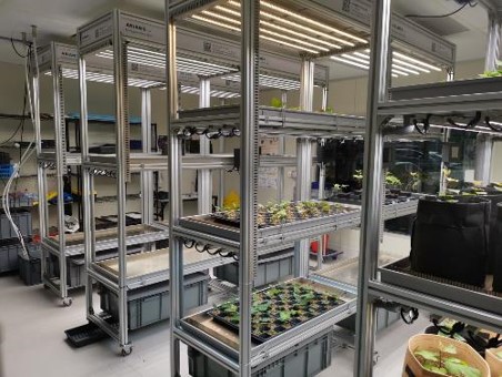 National University of Singapore - Agritech Centre National University of Singapore - Agritech Centre