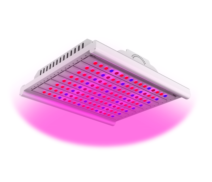 https://www.mail.arianetech-sg.com/Artificial-lighting-in-agriculture-EZYGRO-series-Growth-Light-grow-light-plant-light-led-sunlight-full-spectrum/ezygro-led-horticulture-supplementary-lighting-Growth-Light-Artificial-lighting-full-spectrum-grow-light/EZYGRO%20LED%20HIGH%20POWER%20LIGHT-AGRI-SUPPLEMENTARY%20LIGHTING%20SERIES%20200W%20IP65