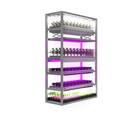 https://www.mail.arianetech-sg.com/City-farm-Indoor-farm-urban-farm-Vertical-farm-Plant-factory-SMART-AGRO-High-Tech-Grower-Unit